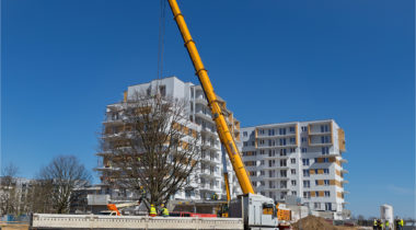 Trzy 80-tonowe dęby na terenie osiedla Comfort City przesadzone!