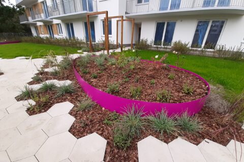 pierwsze nasadzenia roślin na patio Comfort City Ametyst wrzesień 2020