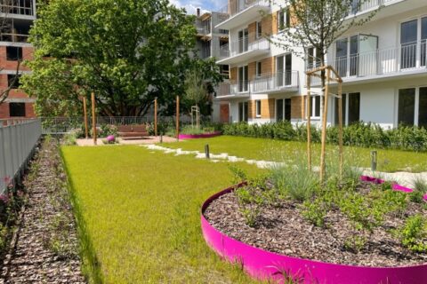 Comfort City Ametyst zielone patio maj 2021
